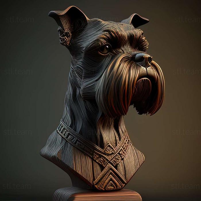 Zwergschnauzer dog